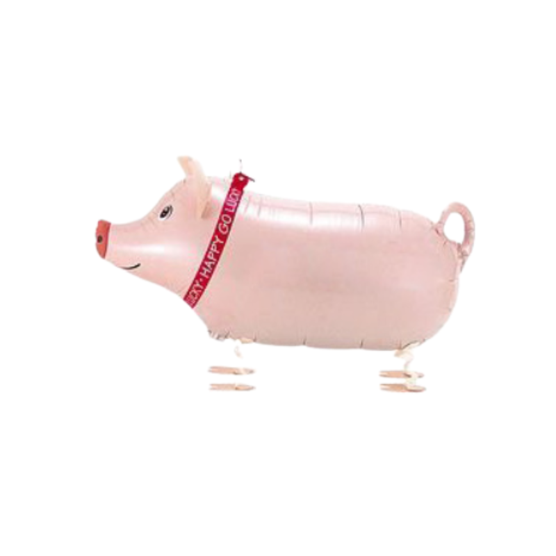 Walking Pet Balloons