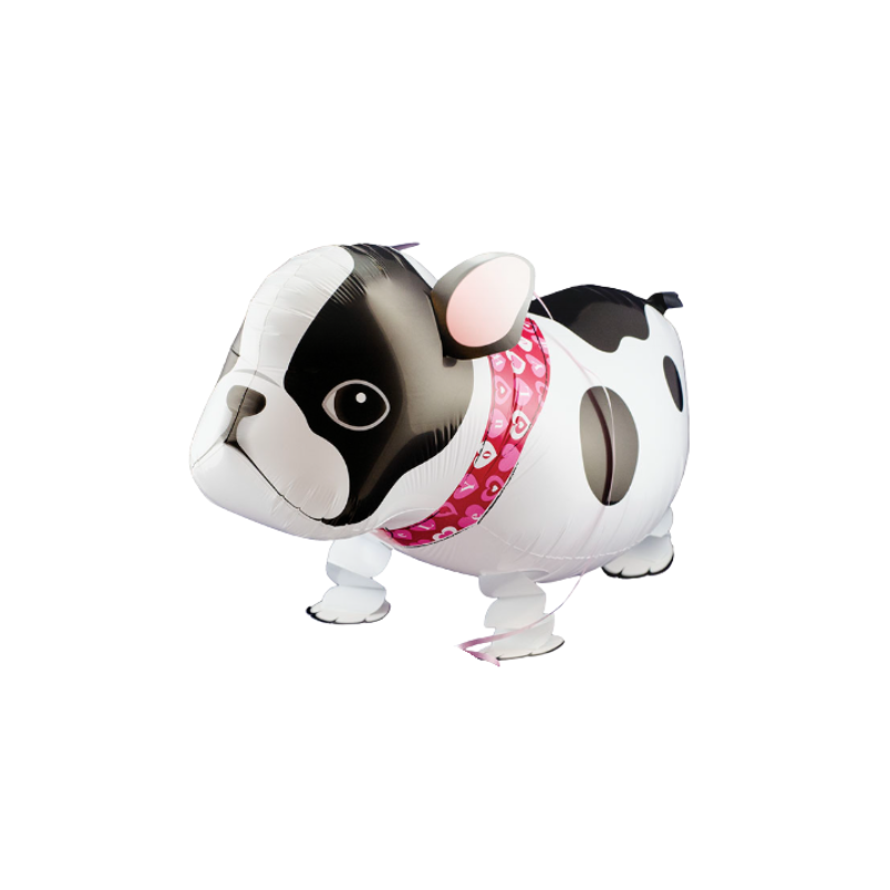 Walking Pet Balloons