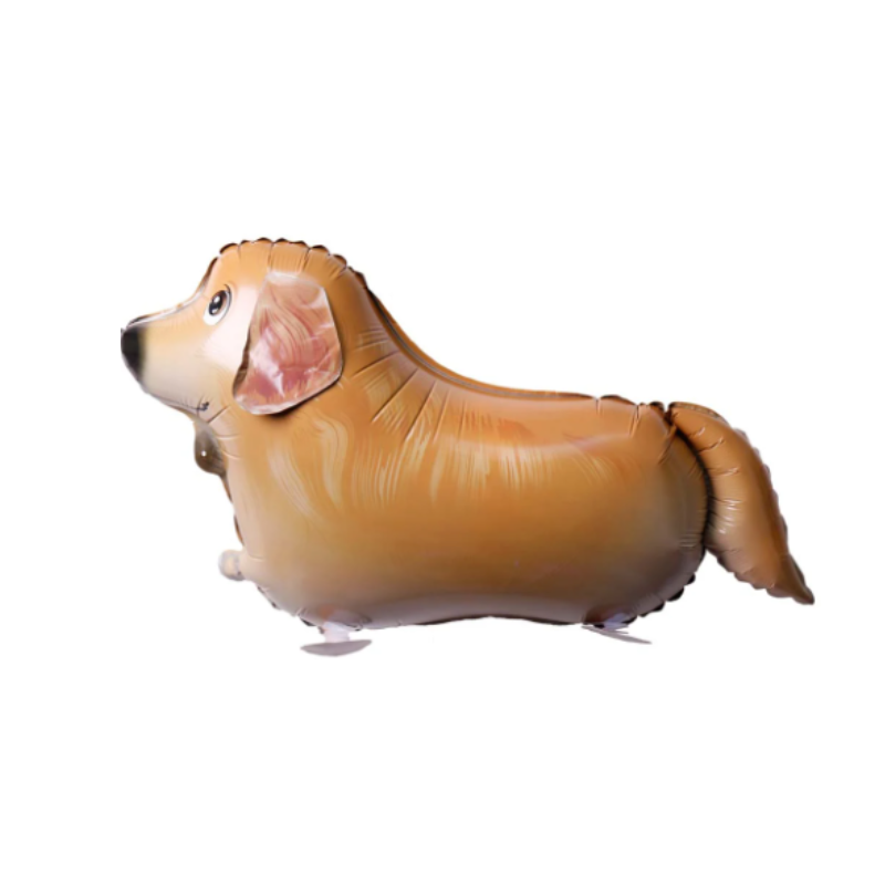 Walking Pet Balloons